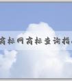 中國商標(biāo)網(wǎng)商標(biāo)查詢指南：注意事項(xiàng)、方法與功能