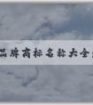 鞋子品牌商標(biāo)名稱大全：了解、使用及其對消費(fèi)者的意義