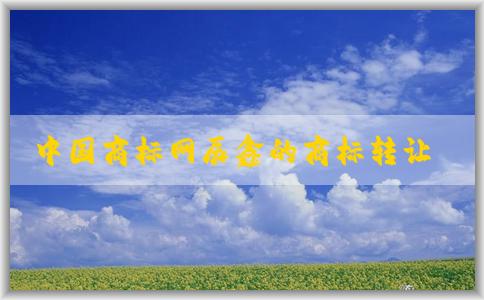 中國商標(biāo)網(wǎng)辰鑫的商標(biāo)轉(zhuǎn)讓流程及選擇建議