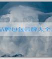 法國(guó)品牌包包品牌大全、流行趨勢(shì)及選購攻略