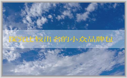 探究比較出名的小眾品牌包包的設計特點、質量優(yōu)劣及備受追捧的原因