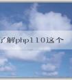 全面了解php110這個型號的硬件配置及使用方法