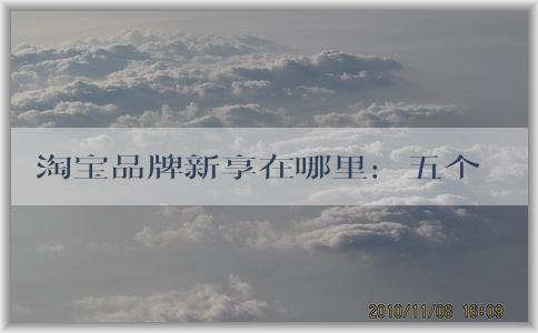 淘寶品牌新享在哪里：五個維度問題、商業(yè)價值、品牌建設及新品牌介紹