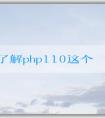 全面了解php110這個型號的硬件配置及使用方法